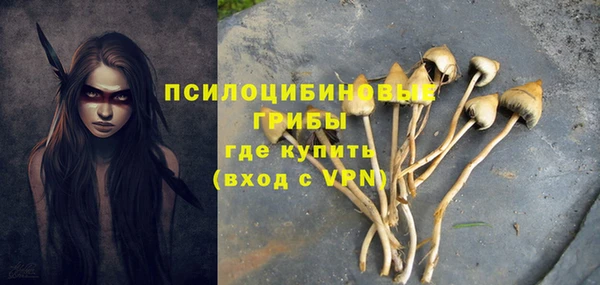 гидропоника Верхнеуральск