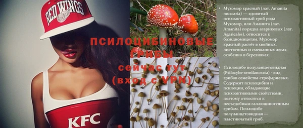 гидропоника Верхнеуральск